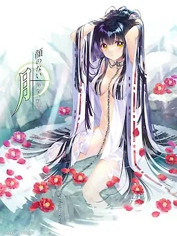 无颜之月-待宵双椿 无颜之月-待宵双椿 中文攻略站 封面图